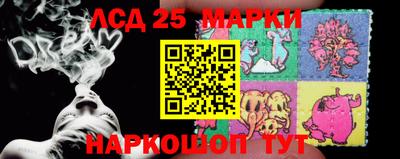 прущие грибы Донской