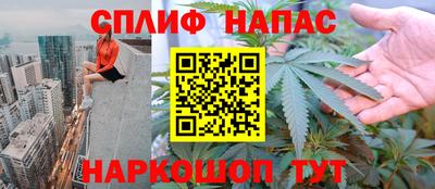 прущие грибы Донской